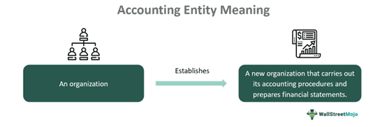 Accounting Entity