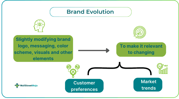 Brand Evolution