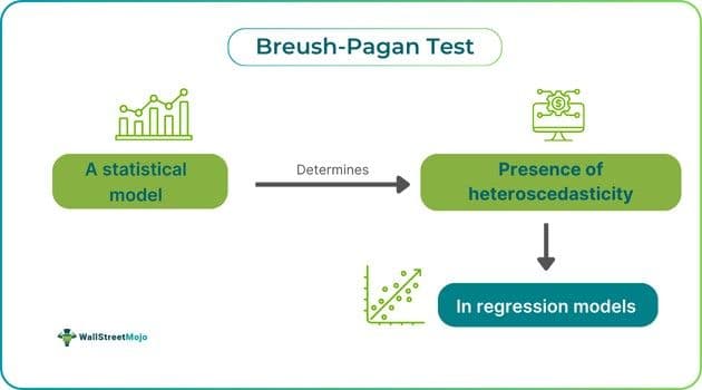 Breusch-Pagan Test