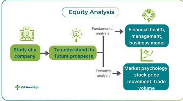 Equity Analysis