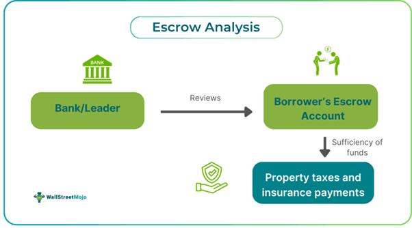 Escrow Analysis