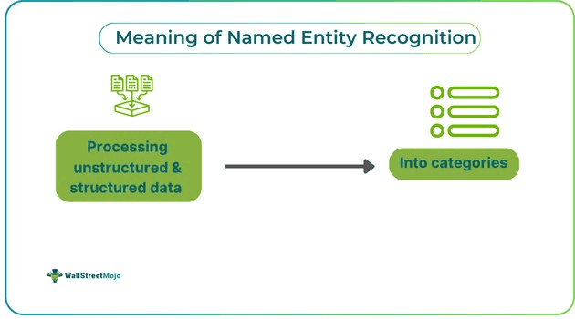 Named Entity Recognition