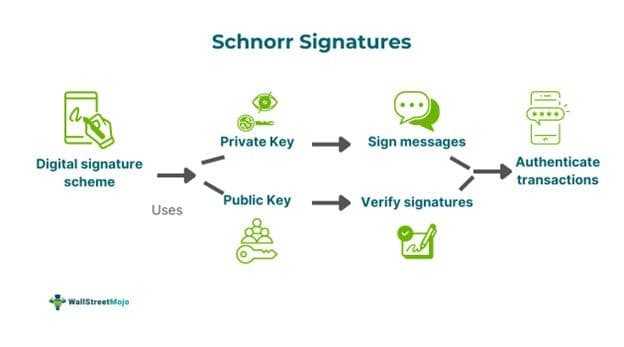 Schnorr Signature