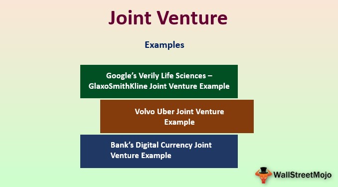 international joint venture examples