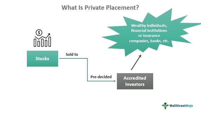Private Equity: Meaning, Types, Examples & Process