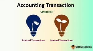 Accounting Transaction (Definition, Journalizing) | Top 2 Types