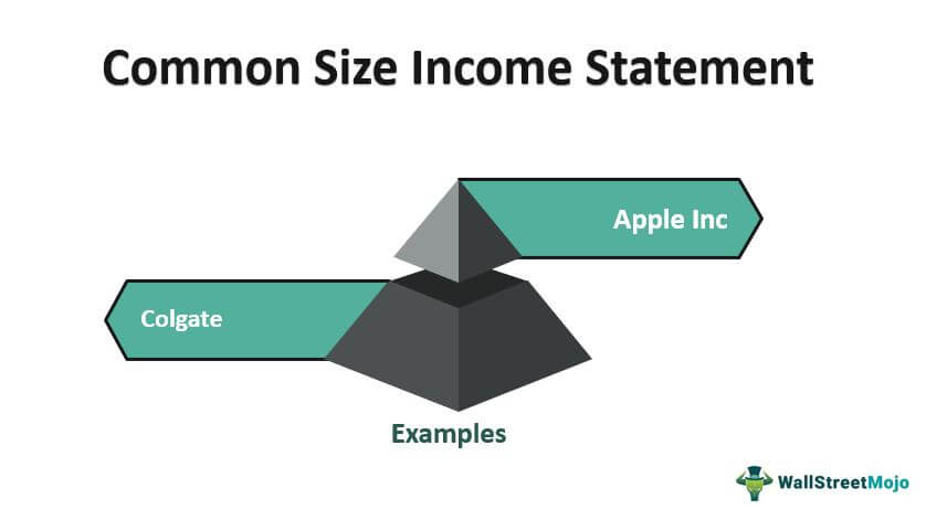 Общий размер Income_Statement