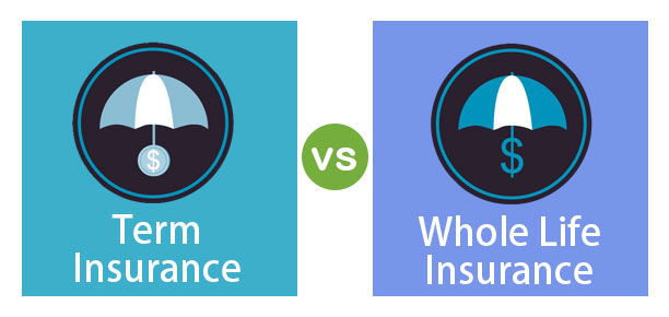 whole life vs term life insurance