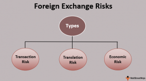 what is foreign exchange risk management