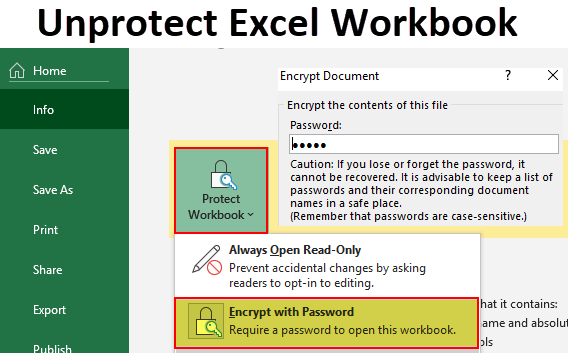 Unprotect Excel Workbook Top Methods With Step By Step Guide 0691