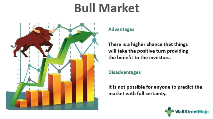 Bull Market: Meaning, Indicators & Causes of Bullish Market