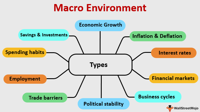 macro environment forces