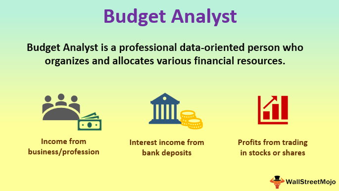 What Is A Budget Analyst Types And Different Examples Of Budget Analyst