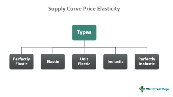 Кривая предложения Ценовая эластичность