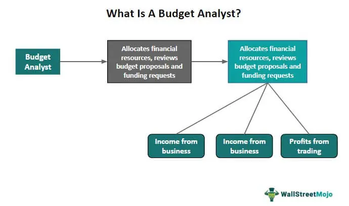 Budget Analyst What Is It Qualifications Responsibilities