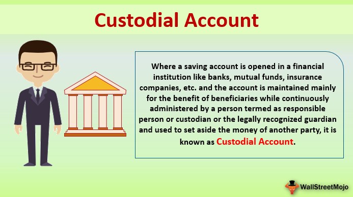 Custodial Account (Types, Example 
