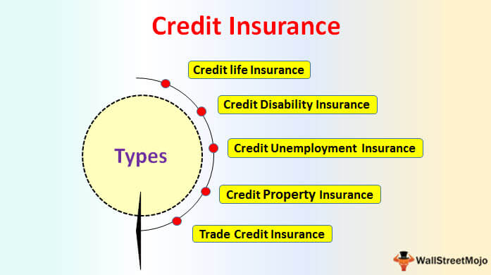 credit-insurance-definition-types-how-does-it-work