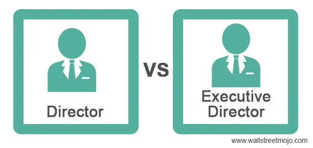 Non-Executive Director Role and Responsibilities Defined