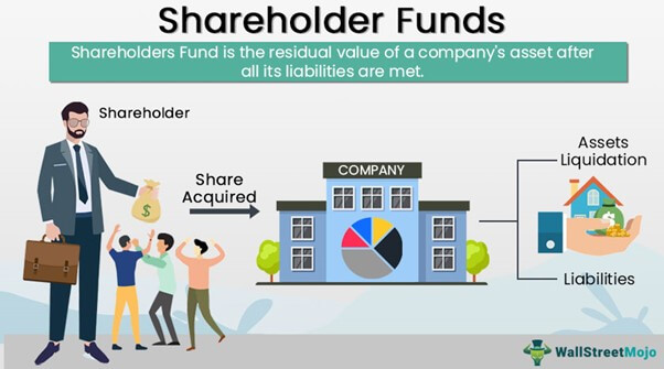 shareholder-fund-meaning-formula-example-vs-equity