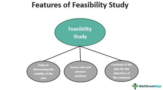 difference of thesis and feasibility study