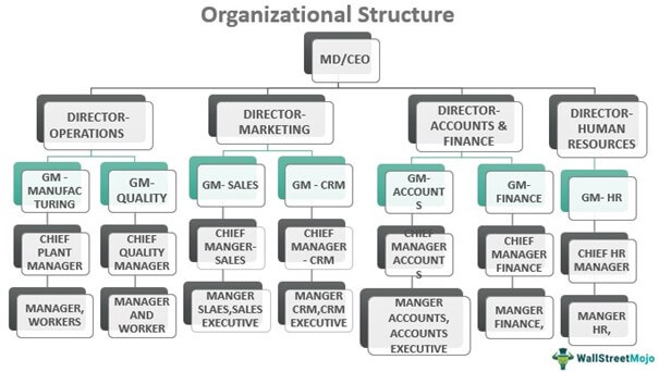 7 Types of Organizational Structures +Examples, Key Elements - Whatfix