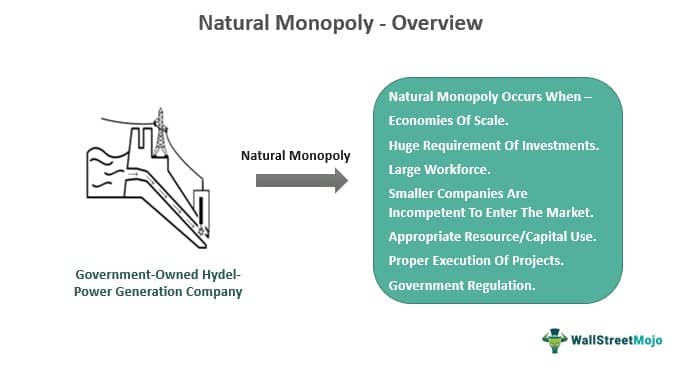 regulated monopoly graph