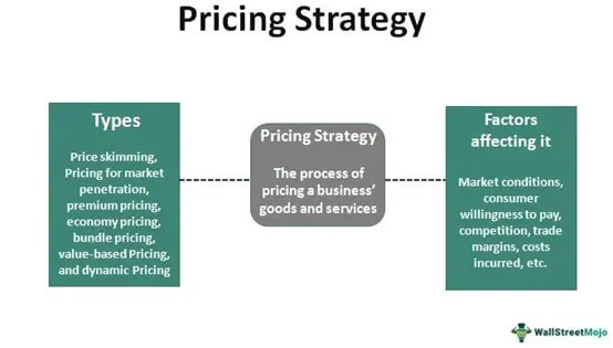 Pricing Strategy - Definition, Types, Examples, Marketing