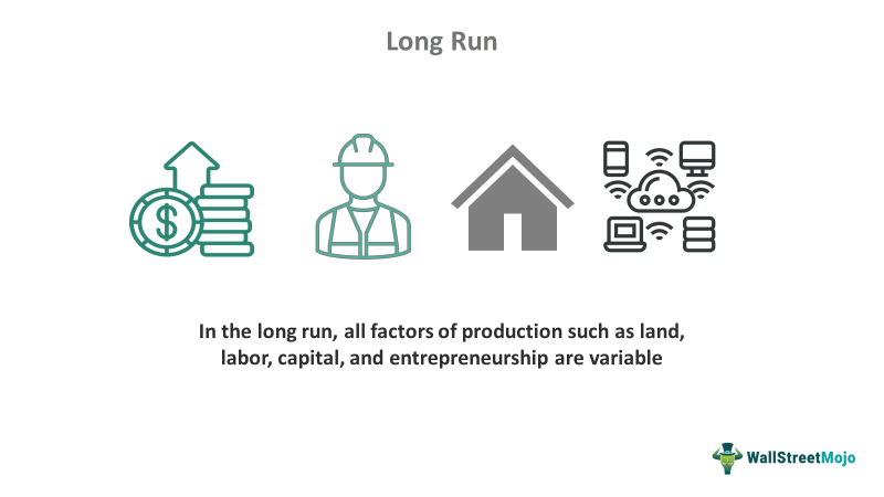Long vs. Short Run Economics, Definition & Examples - Video & Lesson  Transcript