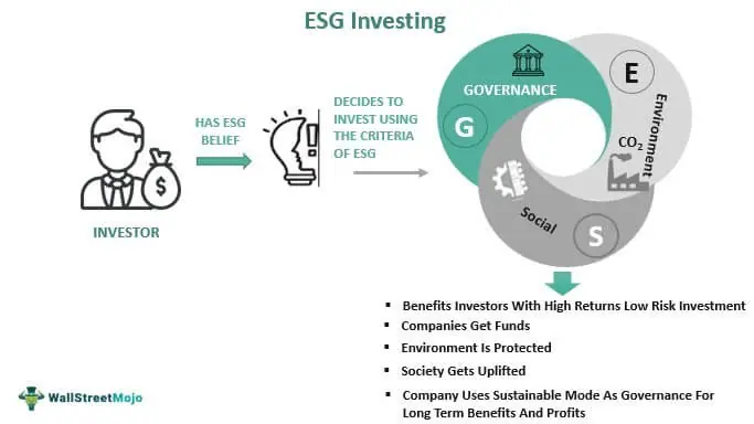Esg Investing Definition Explained Examples Types What Is It