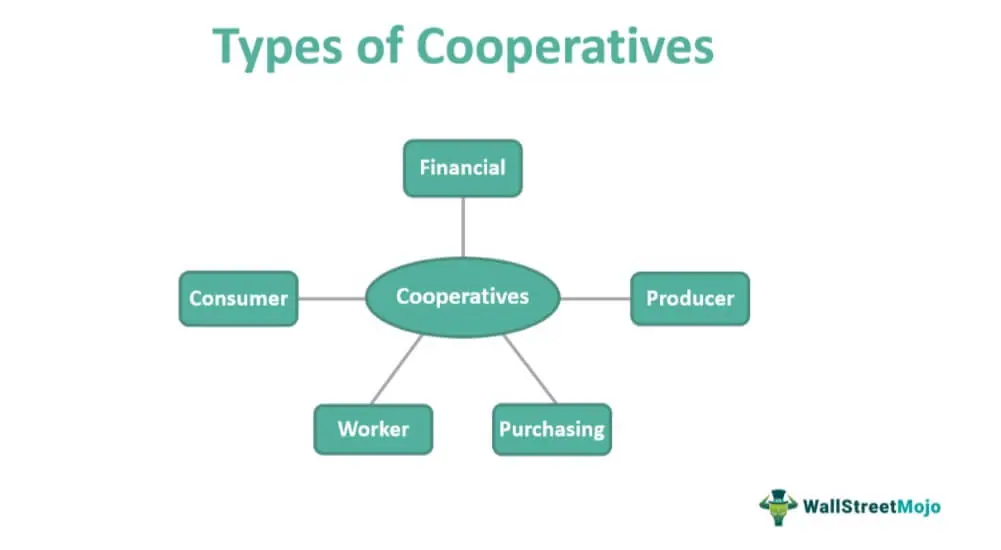 cooperative examples of businesses