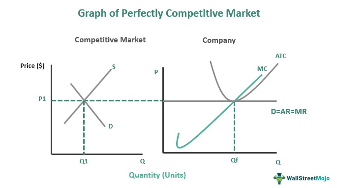 case study perfect competition market structure