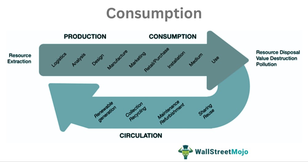 Consumption Meaning, Economics, Example, Factors, Types