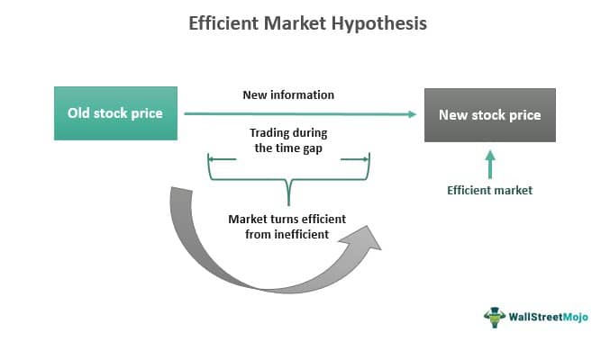 define efficient market hypothesis in your own words