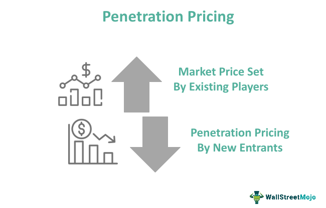 penetration pricing is based on what assumption
