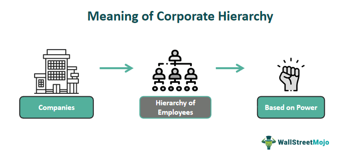 Meaning Of Corporate Hierarchy 1 