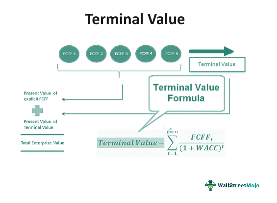 Terminal Value 